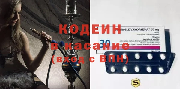 индика Балахна