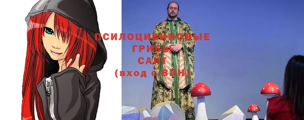 индика Балахна