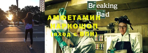 индика Балахна