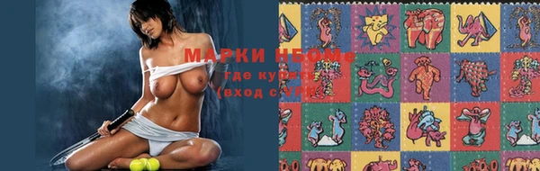 индика Балахна
