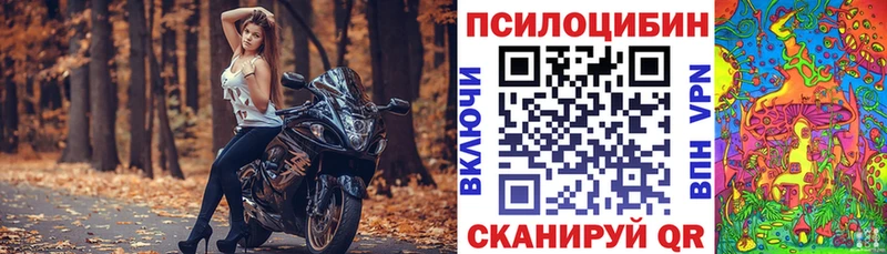 Псилоцибиновые грибы ЛСД  Купить где  Алексеевка 