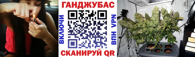 Бошки марихуана план  Купить закладки  Алексеевка 